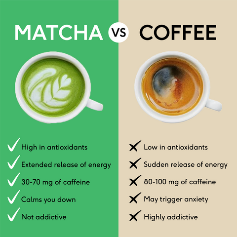 12 x 75g Creamy Chocolate Matcha